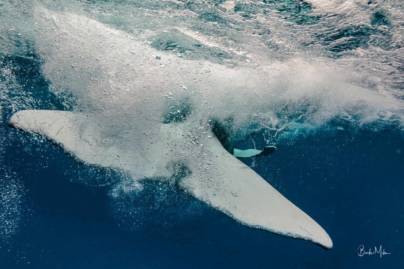 Splash | Humpback Whale Photographic Print by Brooke Miles – Above ...