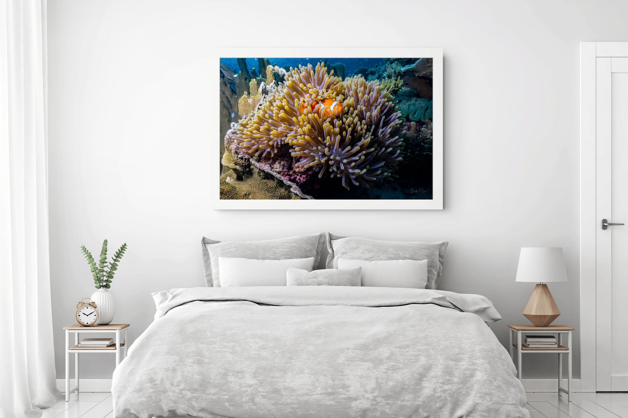 The Keeper - Underwater Reef Print