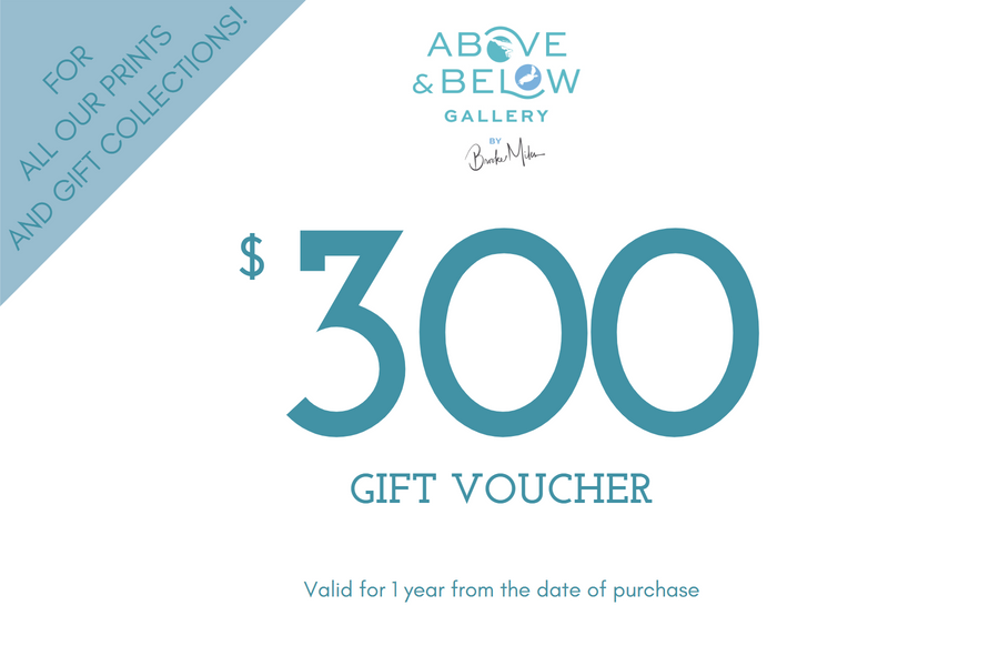 $300 Gift Voucher | Above and Below Gallery – Above & Below Gallery