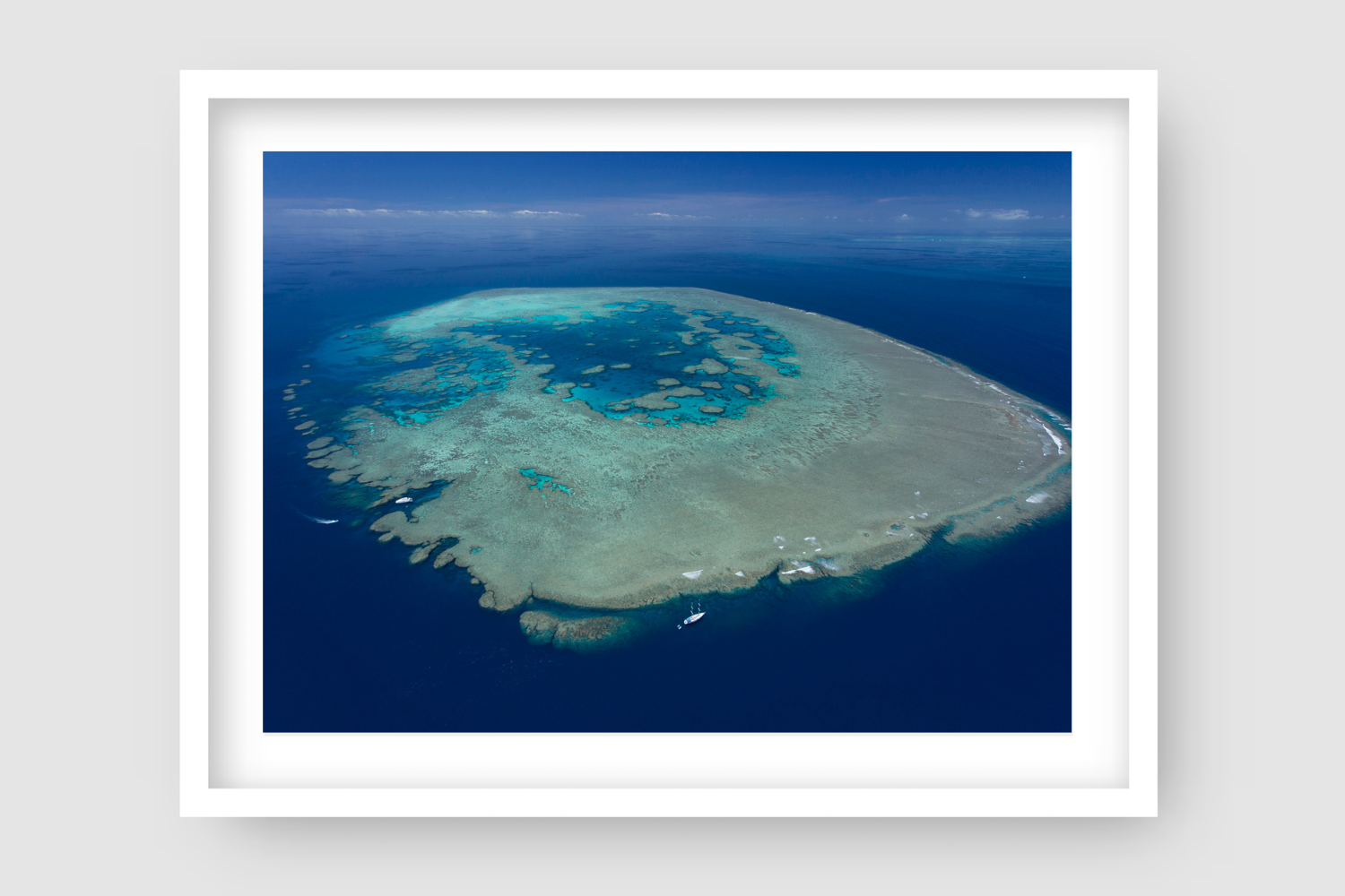 Bait | Bait Reef Great Barrier Reef Photographic Print by Brooke Miles ...