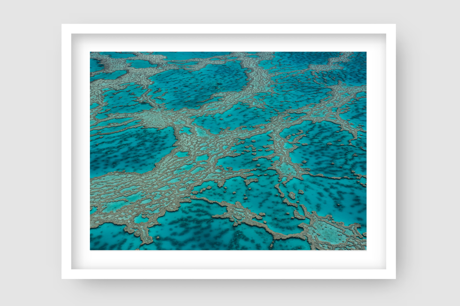 Coral reef veins spread across green, blue, aqua, turquise coloured water