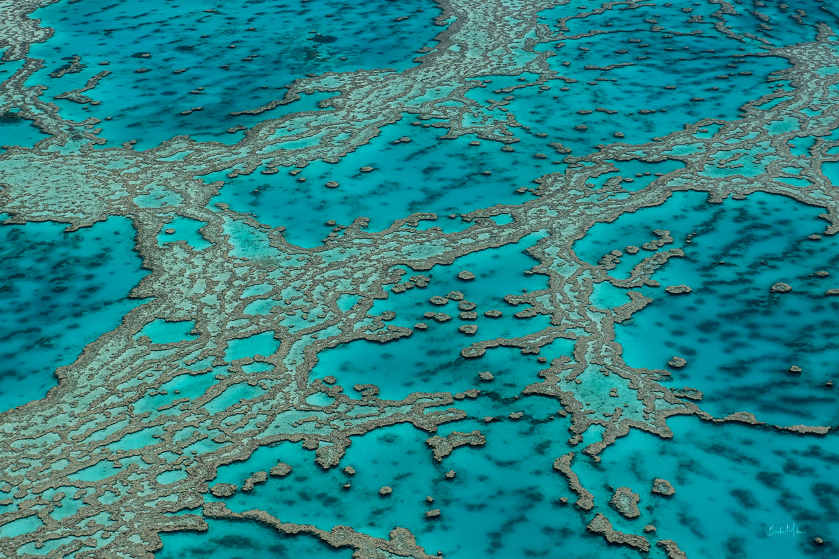 Coral reef veins spread across green, blue, aqua, turquise coloured water