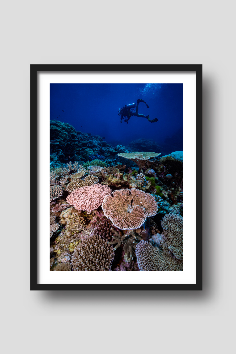 scuba diver releasing bubbles above a bed of coloured coral reef