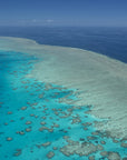 Photo Mount - 'Reef Vista'