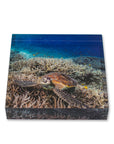 Acrylic Tile Turtle Print Crush Lumi Chillin image1
