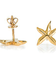 Star Fish Earrings  - Gold Plated