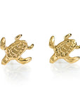 Turtle Earrings  - Gold Plated