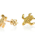 Turtle Earrings  - Gold Plated