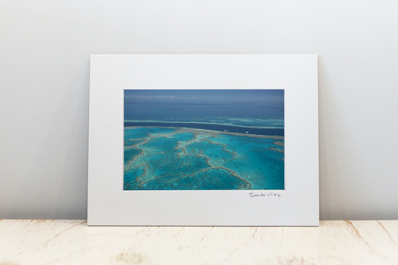 Photo Mount Small - Hardy Reef